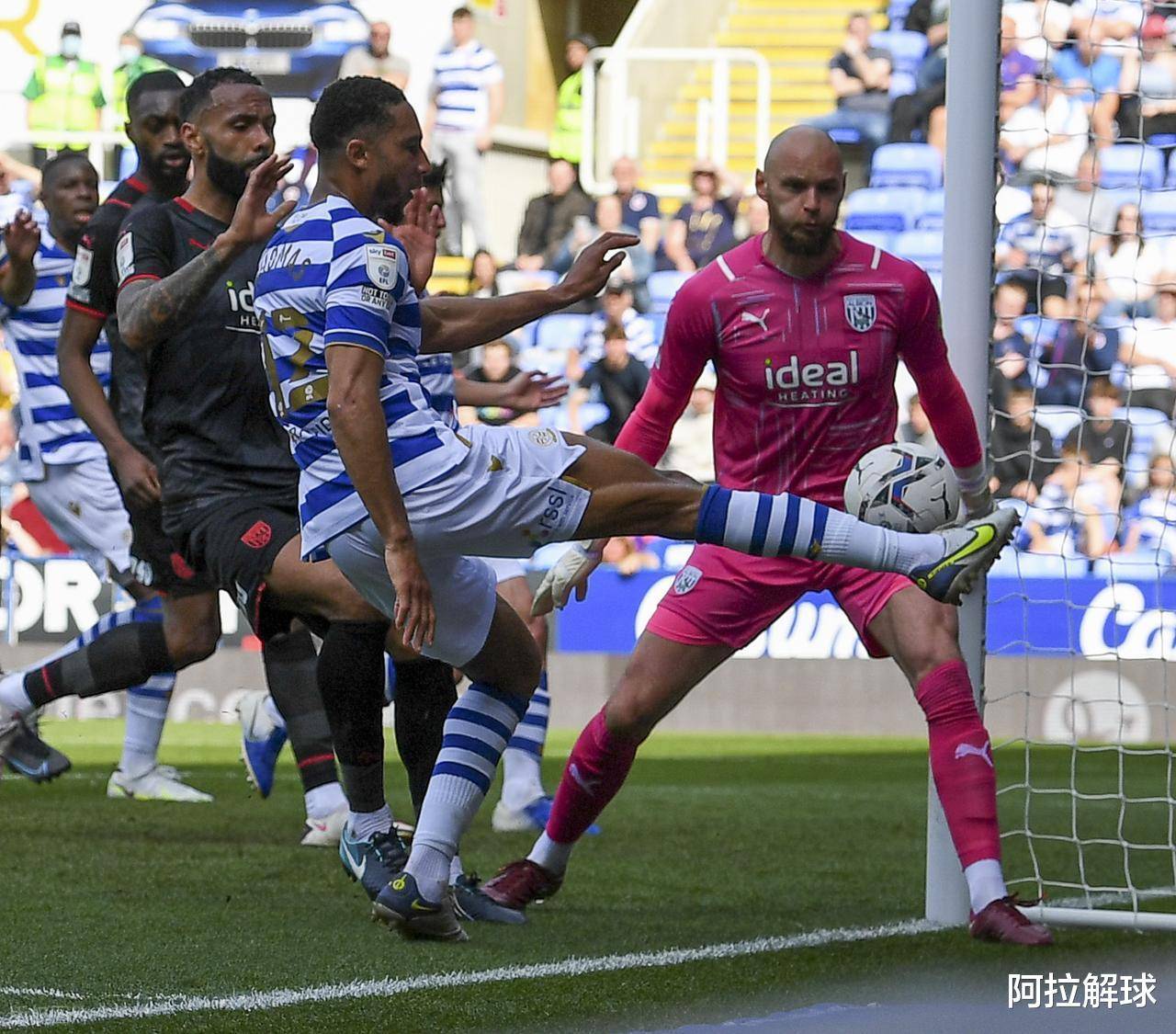 多特蒙德31弗赖堡